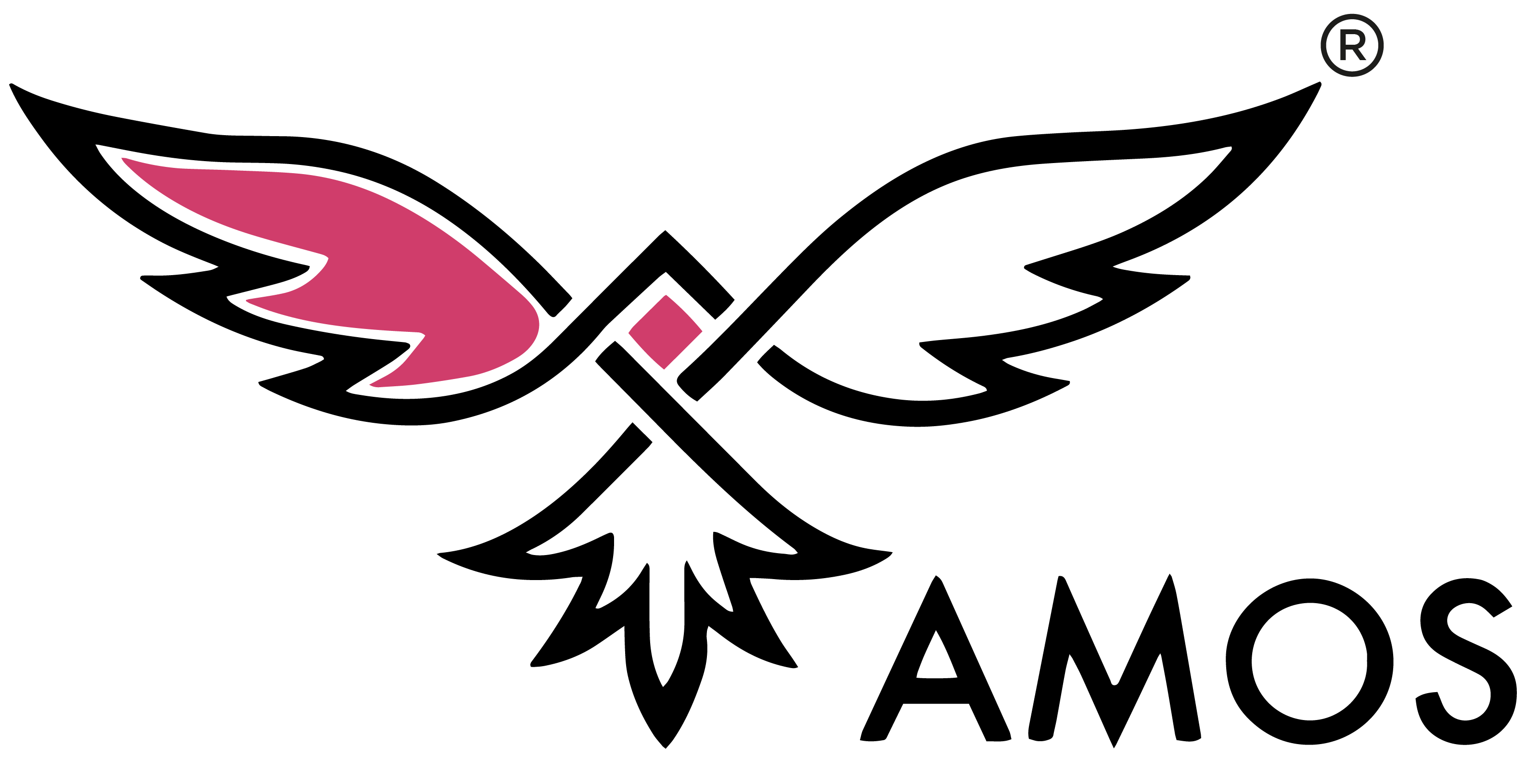 Logo of AutoMicroUas 